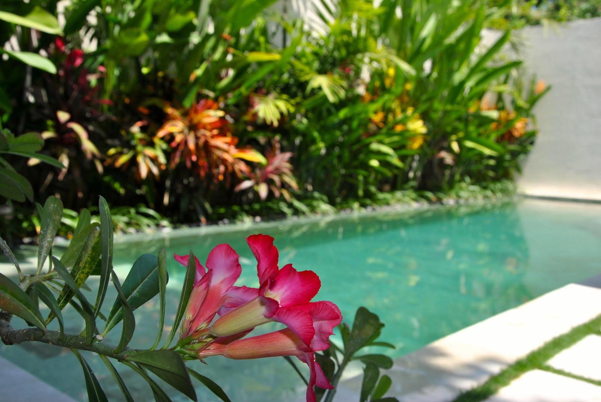 Villa Bali Asri Batubelig Seminyak  Ngoại thất bức ảnh